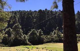 Tirolesa de la Sierra Chincua en Angangueo: 1 opiniones y 7 fotos