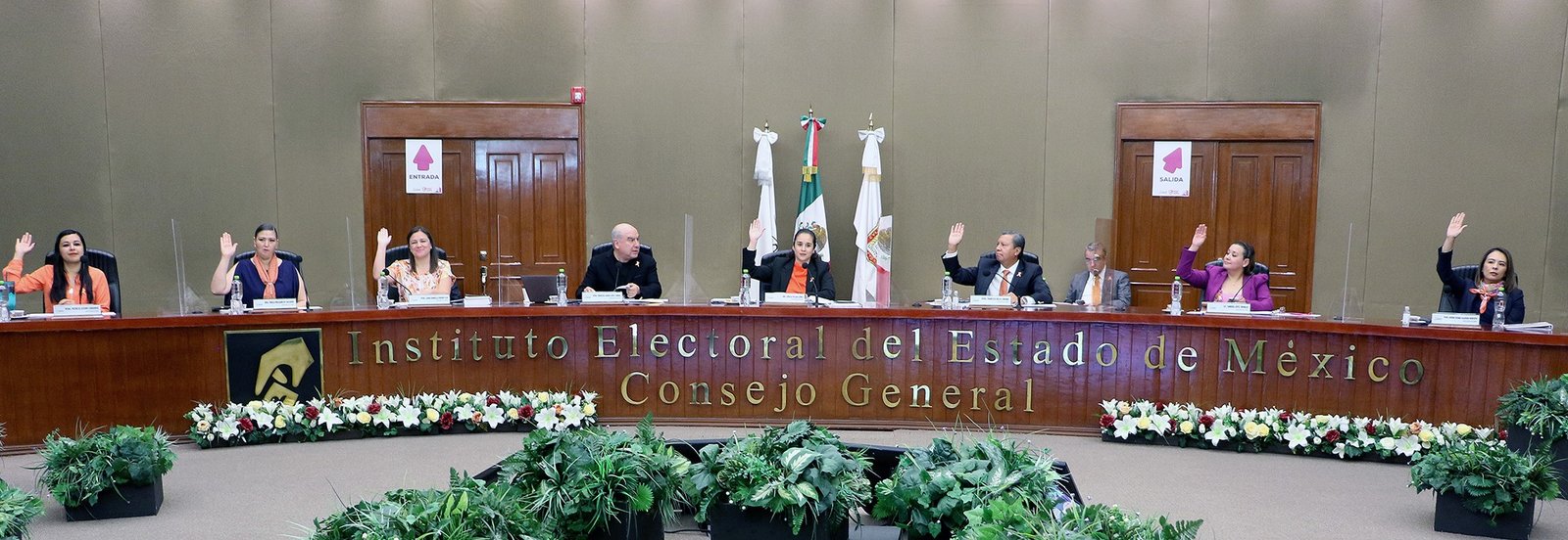 APRUEBA CONSEJO GENERAL DEL IEEM EL MODELO DE PAUTAS PARA LA ...