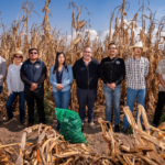 CHAPINGO IMPULSA LA FORMACIÓN CIENTÍFICA TEMPRANA EN MEJORAMIENTO GENÉTICO DE MAÍZ CRIOLLO