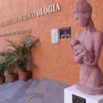 Instituto de Perinatología protege a funcionario que labora en estado de ebriedad