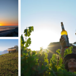 MAR, VIÑEDOS Y ATARDECERES QUE DESPIERTAN TUS SENTIDOS… SOLO EN BAJA CALIFORNIA