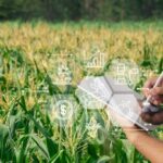 Bioenergía y sistemas de gestión: una palanca para el crecimiento sostenible del agro en México