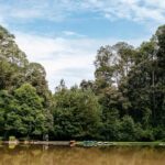 Desayuna exquisitamente en estos 5 restaurantes llenos de sabor vallesano