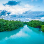 El Caribe Mexicano presenta “El Camino del Agua”, una nueva propuesta de turismo sostenible y experiencial en el sur de Quintana Roo