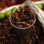 La Marquesa se llena de sabores con el Primer Encuentro Gastronómico Mexiquense “Saberes y Sabores de mi Tierra”